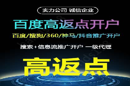 搜索引擎营销（SEM）的广告创意与落地页设计——以某成功创业公司的实践为例